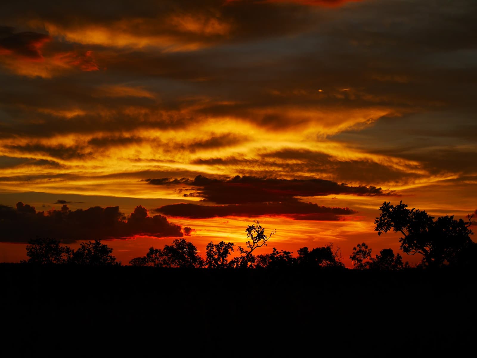 Kein Filter, kein Trick. Jalapão verabschiedet sich einfach so. Intensiver orange-roter Sonnenuntergangshimmel über der Silhouette des Cerrado-Baumbestands auf einer Jalapão-Reise, mit dramatisch leuchtenden Wolkenschichten über der dunklen Landschaft