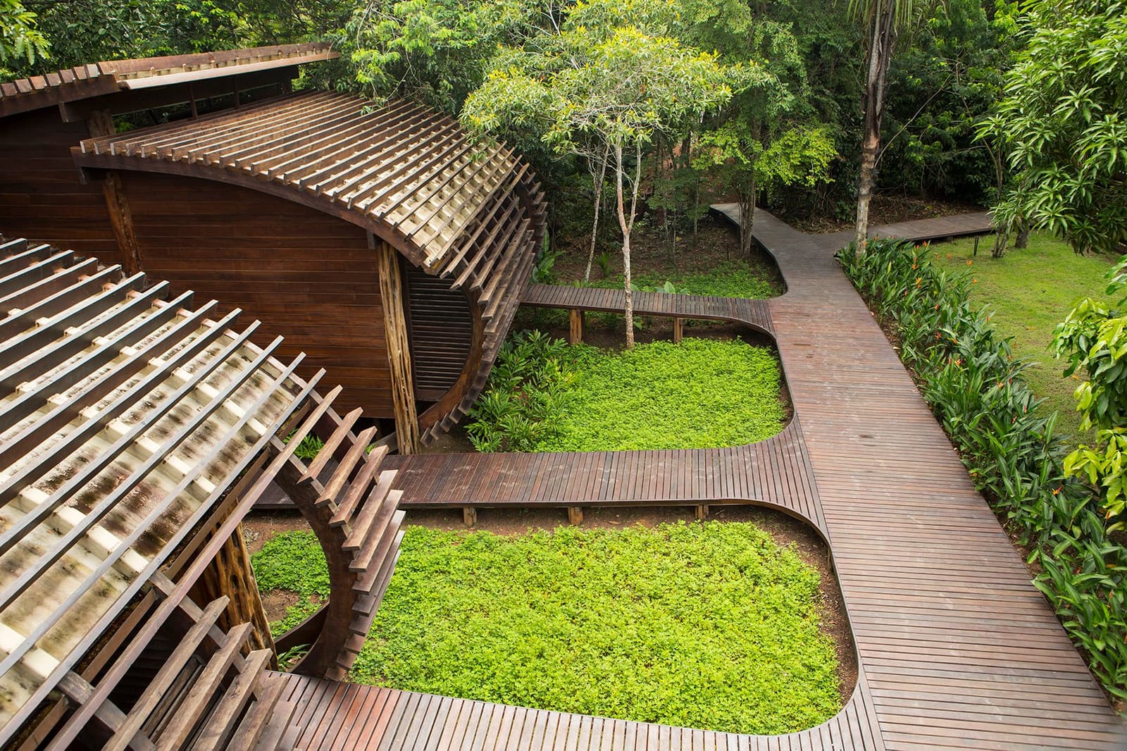 Hier bestimmt der Wald, wie die Architektur aussieht. Luftaufnahme der geschwungenen Hartholzstege von Mirante do Gavião, die sich zwischen üppigem grünem Bodenbewuchs und einem Lamellendach aus Holz schlängeln, mit dichtem Regenwalddach im Hintergrund