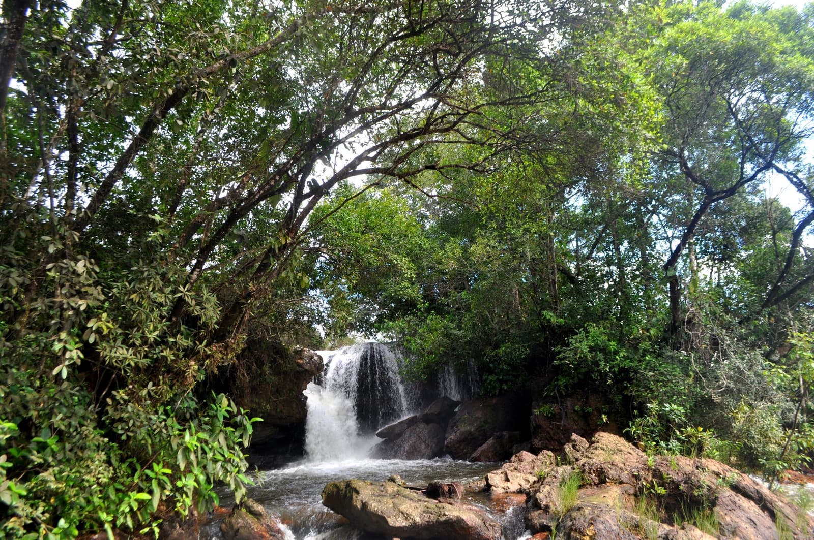 Den Weg hierher zeigt keine Straße, nur der Trail. Photo: Picasa Ein Wasserfall stürzt über dunkle Felsen in ein Felsbecken, eingerahmt von dichtem Cerrado-Wald auf einer Trekkingroute im Jalapão