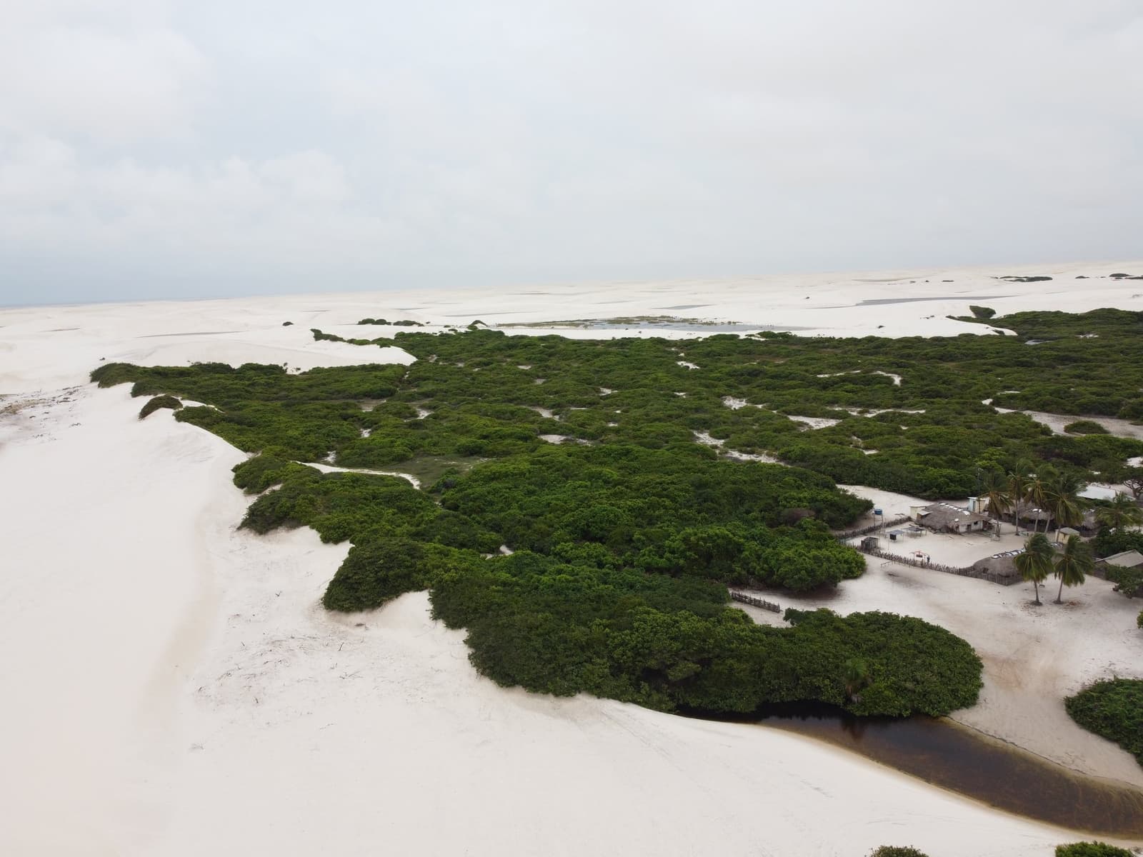 Le sable blanc et la mangrove se disputent le terrain, sans vainqueur. Vue aérienne d'un îlot de végétation dense entouré de dunes de sable blanc dans la zone de trekking des Lençóis Maranhenses, avec un petit groupe de bâtiments aux toits de chaume et des palmiers en bordure de l'oasis
