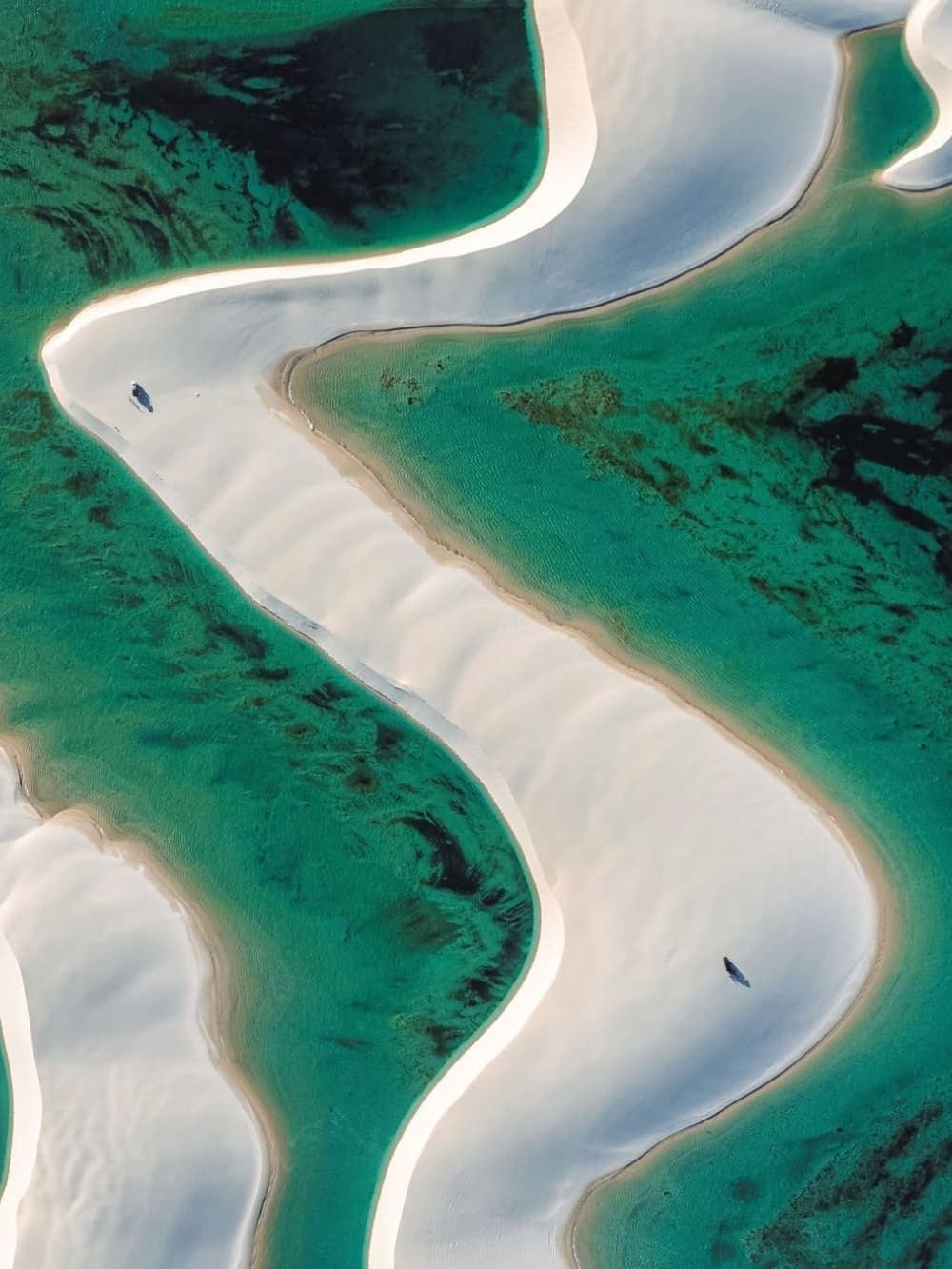 Zwei kleine Punkte auf dem Sand, und plötzlich begreift man die Dimensionen. Luftaufnahme geschwungener weißer Sandbänke, die sich zwischen leuchtend türkisfarbenen Lagunenkanälen in den Lençóis Maranhenses schlängeln, mit zwei winzigen menschlichen Figuren auf den Dünen
