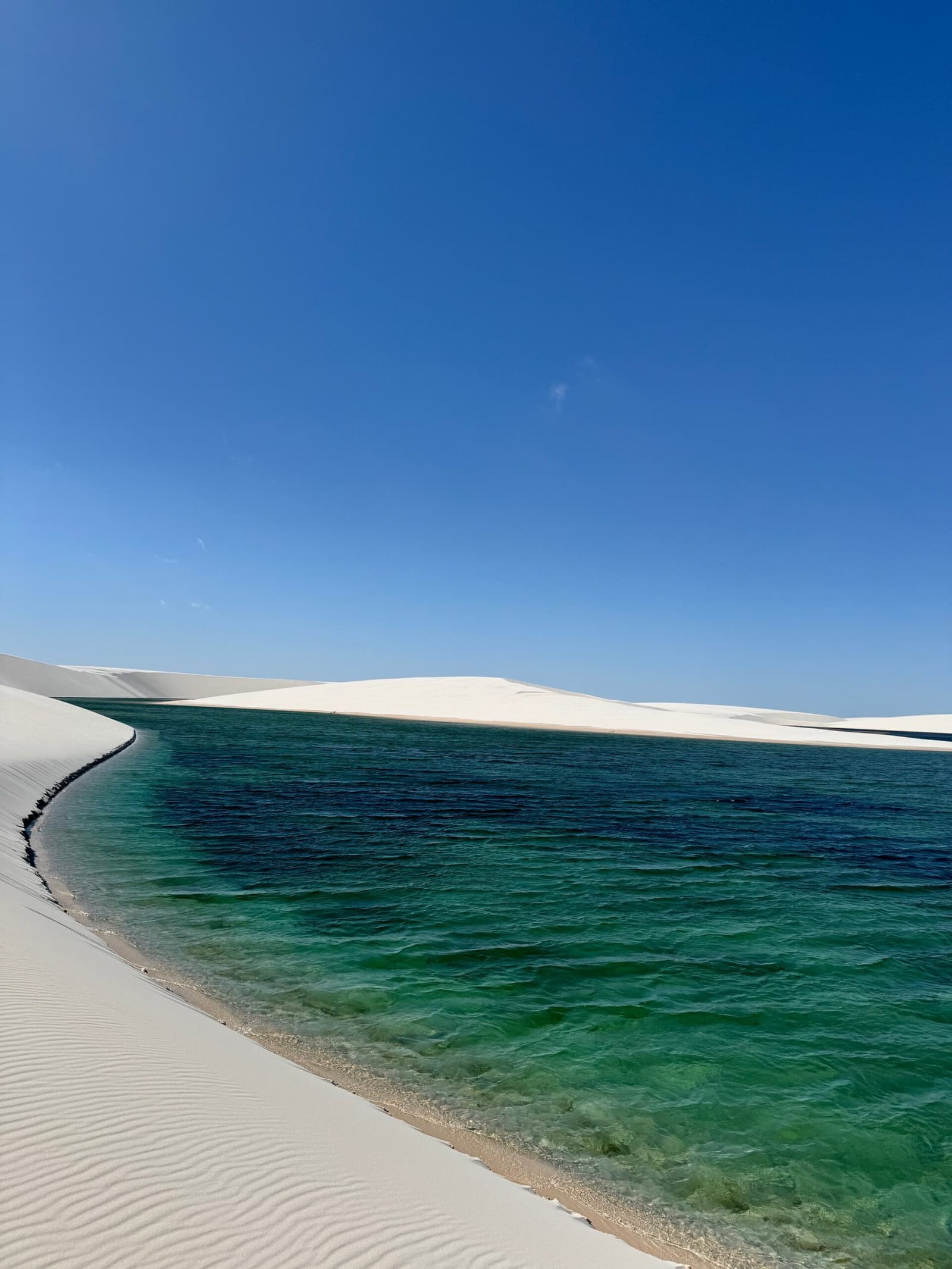 Du sable blanc, une eau verte, et toutes les règles du désert ignorées. Un lagon émeraude limpide s'étend entre de grandes dunes de sable blanc sous un ciel bleu intense sur un itinéraire de trekking dans les Lençóis Maranhenses