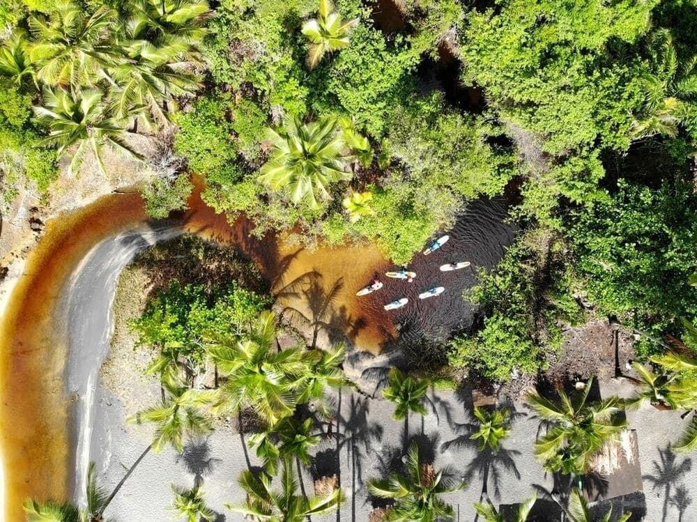 Rio, mata e areia num só quadro, Itacaré sempre surpreende quem olha de cima. Vista aérea de quatro praticantes de stand-up paddle na foz de um rio de águas escuras que encontra uma praia de areia branca ladeada de coqueiros em Itacaré