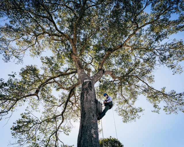 5 Pantanal Conservation Projects Making a Real Impact 5 Pantanal Conservation Projects Making a Real Impact