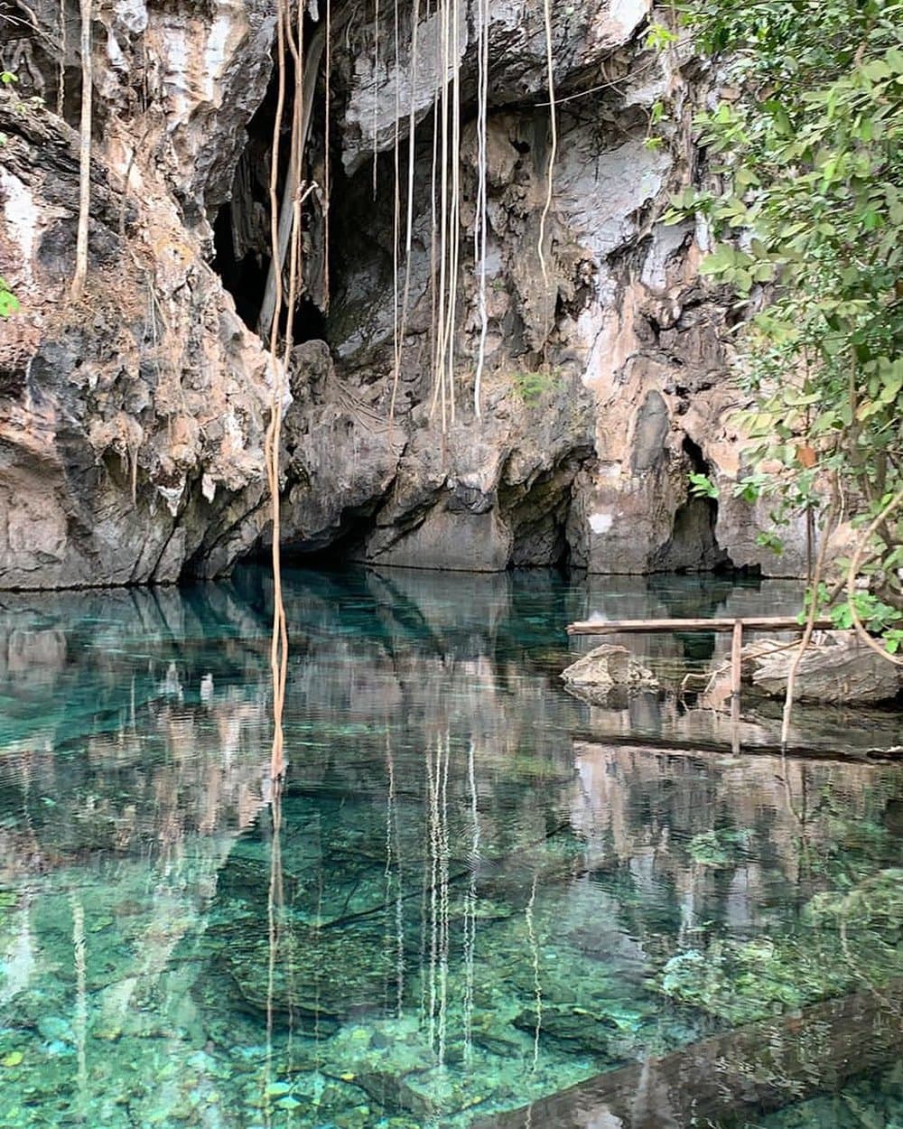 Lianen baumeln, das Wasser leuchtet türkis — pure Stille zum Eintauchen. Kristallklares türkisfarbenes Wasser in einem natürlichen Kalksteinhöhlenpool auf der 4-tägigen Jalapão-Tour, mit langen herabhängenden Lianen und einem kleinen Holzsteg am Ufer