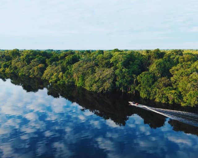 COP30 Brasile: cosa fare oltre la conferenza, nella natura COP30 Brasile: cosa fare oltre la conferenza, nella natura