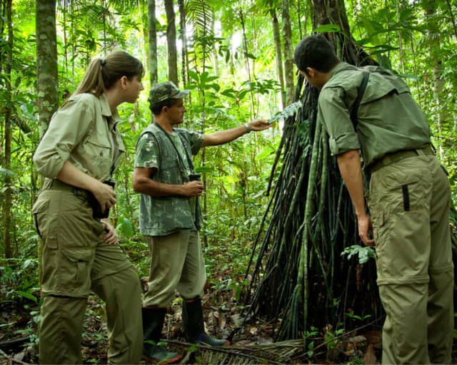 Come visitare l’Amazzonia in Brasile: guida di viaggio Come visitare l’Amazzonia in Brasile: guida di viaggio