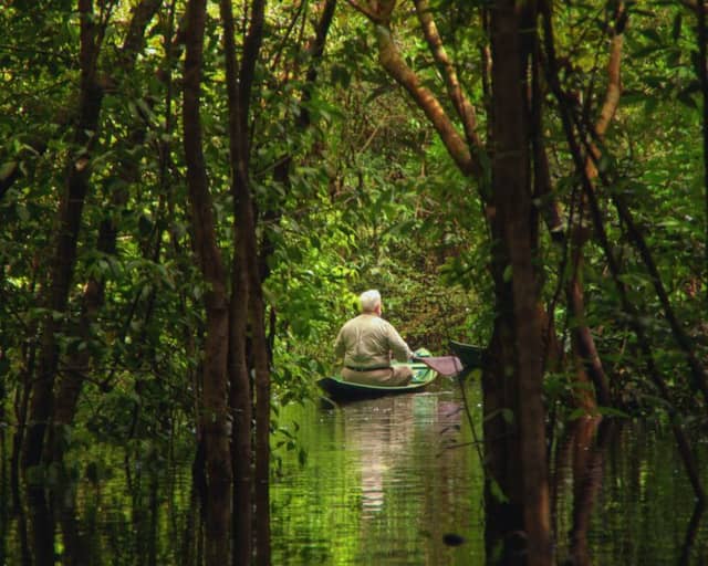 10 consigli di viaggio per l’Amazzonia, per vivertela al meglio 10 consigli di viaggio per l’Amazzonia, per vivertela al meglio