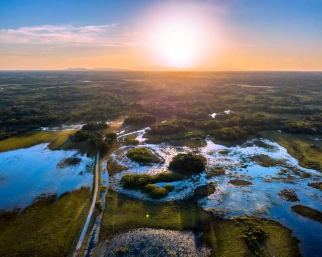 3 Ways Sustainable Tourism in the Pantanal Protects Wildlife 3 Ways Sustainable Tourism in the Pantanal Protects Wildlife