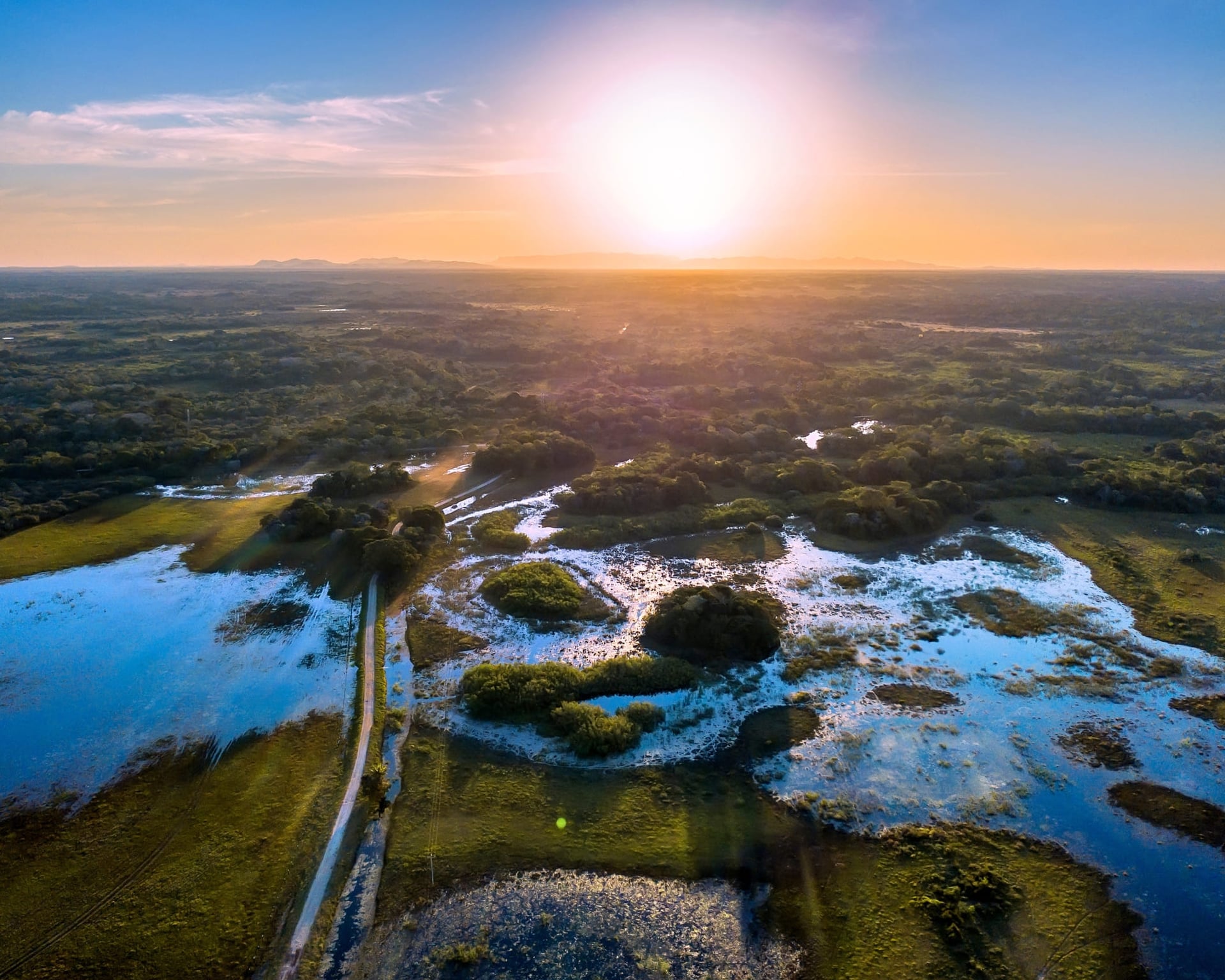 3 Ways Sustainable Tourism in the Pantanal Protects Wildlife 3 Ways Sustainable Tourism in the Pantanal Protects Wildlife