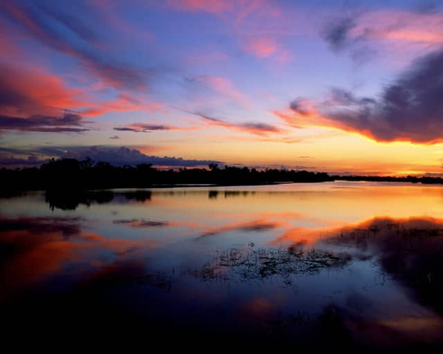 Parco Nazionale Jaú: nel cuore dell’Amazzonia, in Brasile Parco Nazionale Jaú: nel cuore dell’Amazzonia, in Brasile