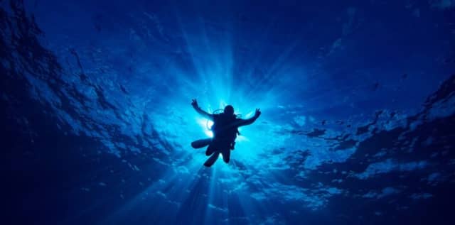 Fernando de Noronha: quando andare a fare immersioni? Fernando de Noronha: quando andare a fare immersioni?