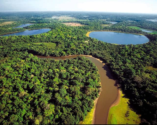 Pantanal: clima, stagioni e quando andare Pantanal: clima, stagioni e quando andare