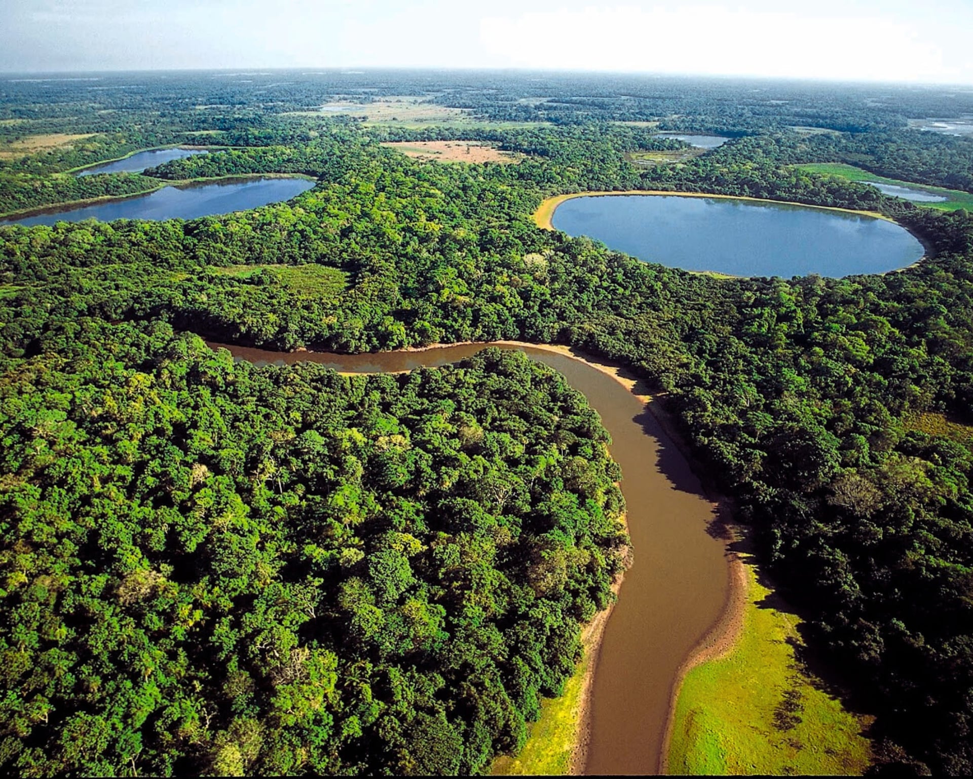 Beste Reisezeit fürs Pantanal Beste Reisezeit fürs Pantanal