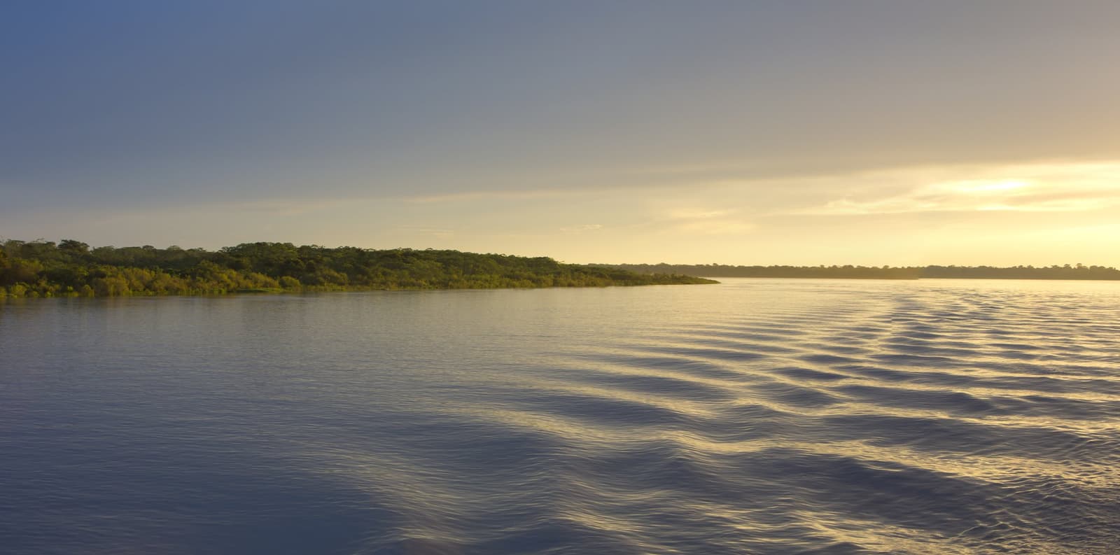 Das Wasser erzählt noch Stunden später, wo das Boot entlangfuhr. Goldenes Sonnenaufgangslicht spiegelt sich auf einem breiten tropischen Fluss während einer Amazonas-Kreuzfahrt ab Alter do Chão, mit einer dichten grünen Waldküste am Horizont