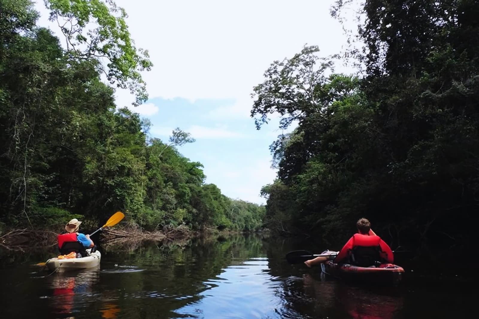 Der Fluss gibt das Tempo vor, und hier draußen fügst du dich einfach ein. Zwei Kajakfahrer in roten Schwimmwesten paddeln nebeneinander auf einem schmalen, dunkelwasserigen Flusskanal beim Amazonas-Kajaktour in Brasilien, umgeben von dichtem Regenwalddach auf beiden Seiten