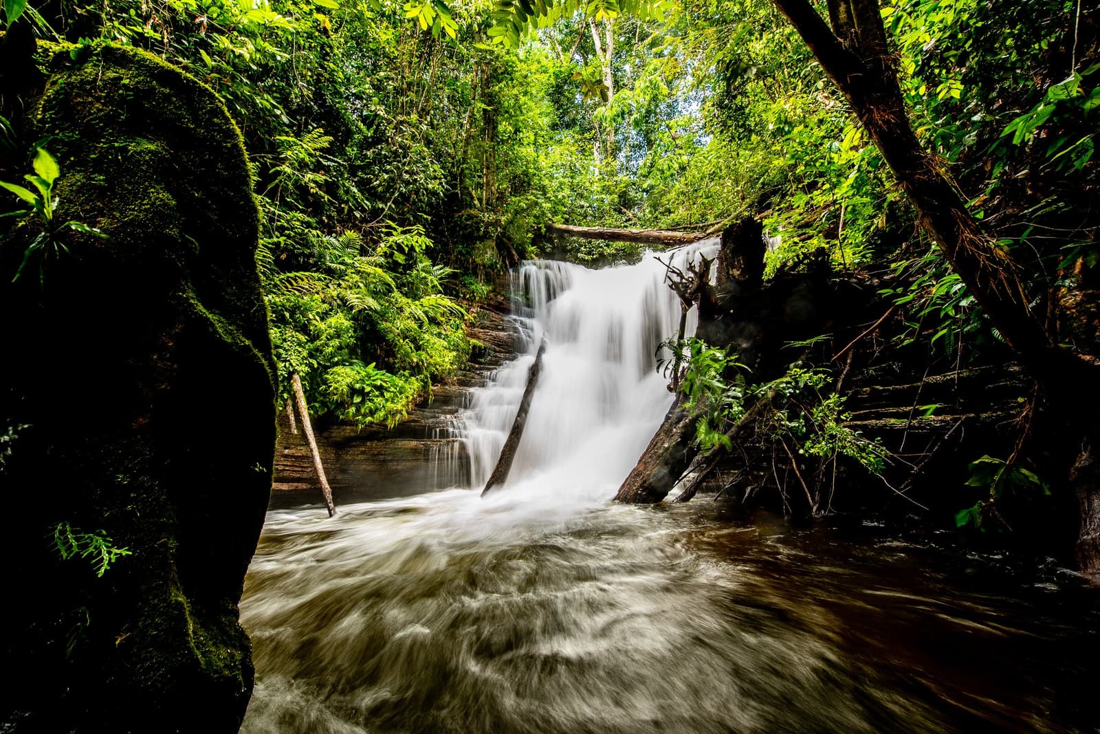 Mitten im Dschungel hat die Stille hier eindeutig Konkurrenz bekommen. Ein seidiger, mehrstufiger Wasserfall stürzt über bemoste Felsen in ein schäumendes Waldbecken, umgeben von dichtem tropischem Regenwalddach auf einer Amazonas-Kajaktouren in Brasilien