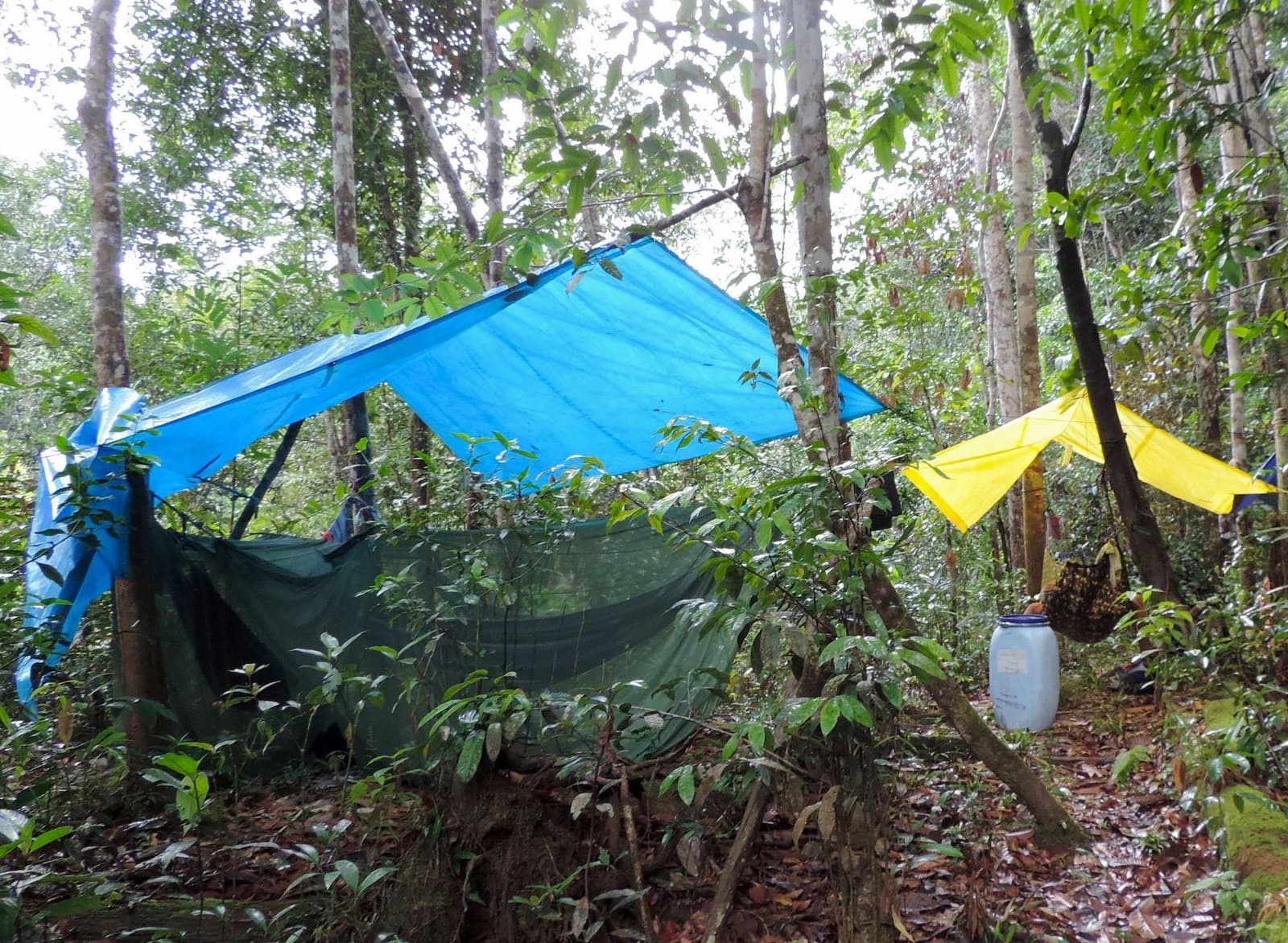 Schlafen im Regenwald, aufgebaut in zwanzig Minuten. Eine blaue und eine gelbe Regenplane spannen sich zwischen Bäumen und schützen eine Hängematte mit Moskitonetz im dichten Regenwald — rustikales Campinglager auf dem Amazonas-Kajaktour in Brasilien