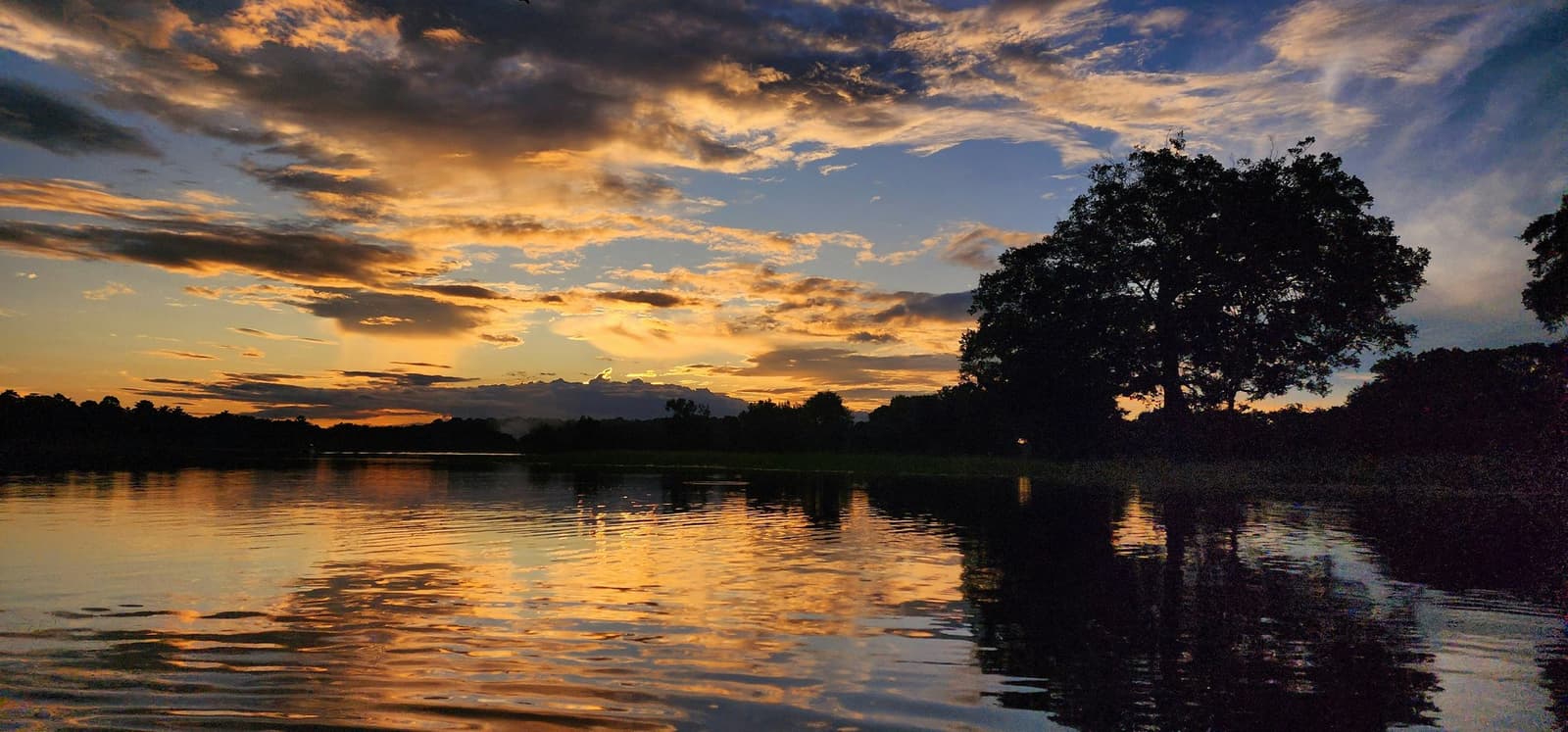 Der Fluss hält den Himmel fest, als gehörte er ihm. Goldener Sonnenuntergang, der sich auf einem ruhigen tropischen Fluss spiegelt, mit Baumsilhouetten und einem dramatisch bewölkten Himmel