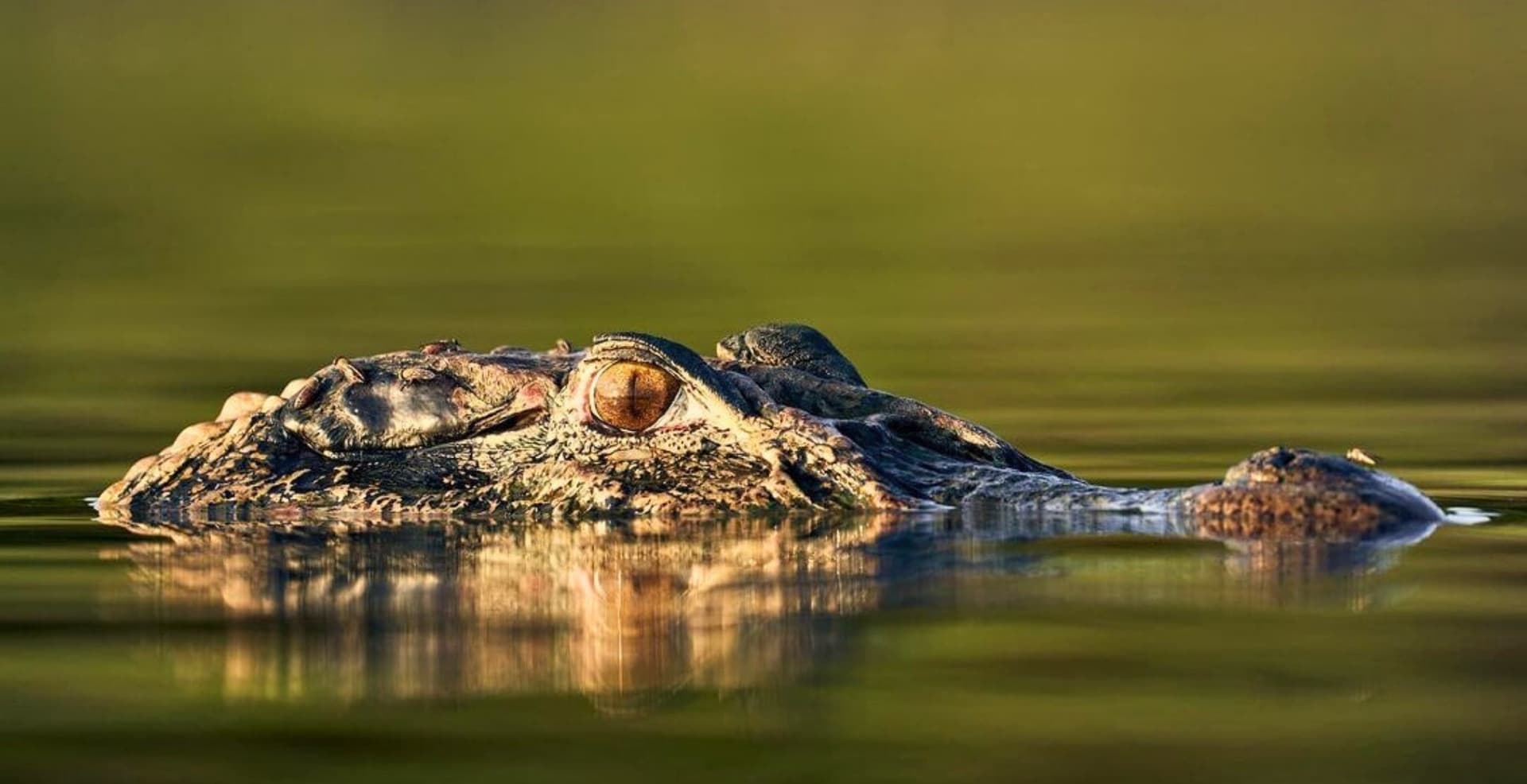 4-tägige Amazonas-Überlebenstour 4-tägige Amazonas-Überlebenstour