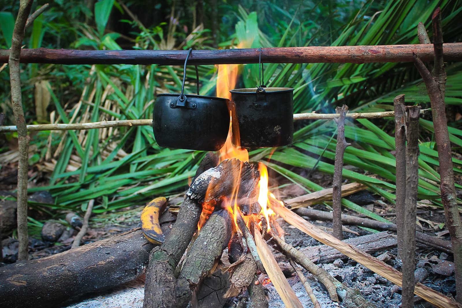 Das Feuer macht, was es soll. Jetzt nur noch warten. Zwei geschwärzte Metalltöpfe hängen über einem offenen Lagerfeuer auf einem rustikalen Holzgestell beim Amazon-Survival-Tour, mit dichter tropischer Palmenvegetation im Hintergrund