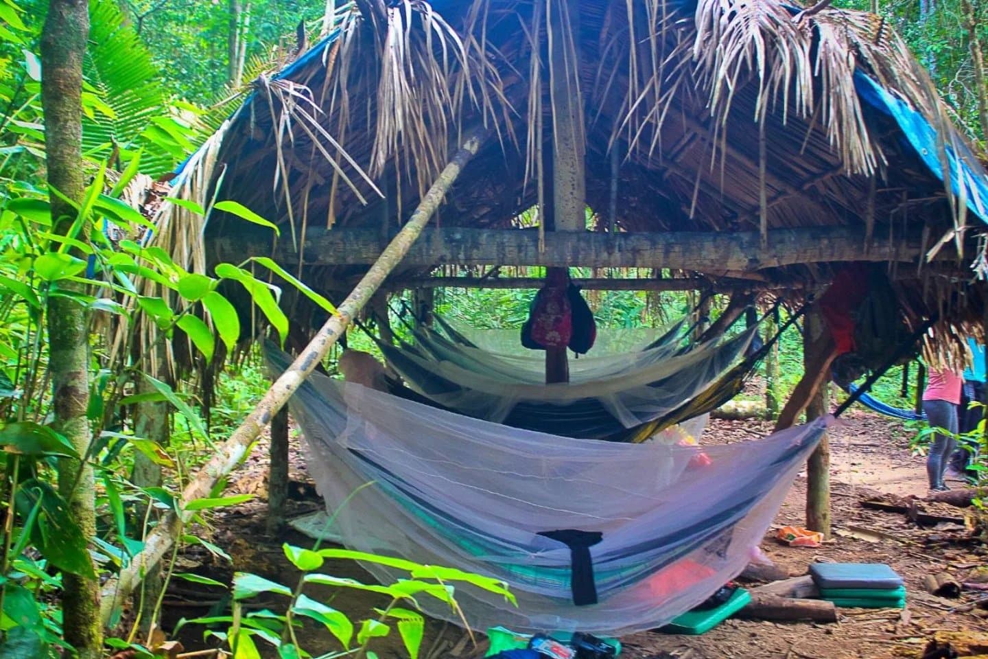 Kein Bett, kein WLAN, aber ein Dach über dem Kopf. Reicht völlig. Hängematten mit Moskitonetzen unter einem rustikalen Palmblatt-Unterstand auf einem Amazon-Survival-Tour-Lagerplatz, umgeben von dichter Regenwaldvegetation