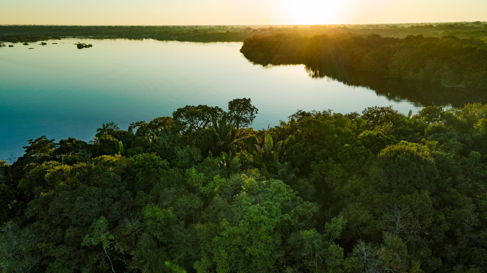 Wald und Fluss, goldene Stunde, kein Kommentar nötig. Luftaufnahme eines breiten tropischen Flusses, umgeben von dichtem Amazonas-Dschungeldach im goldenen Abendlicht, der leuchtende Himmel spiegelt sich im stillen Wasser