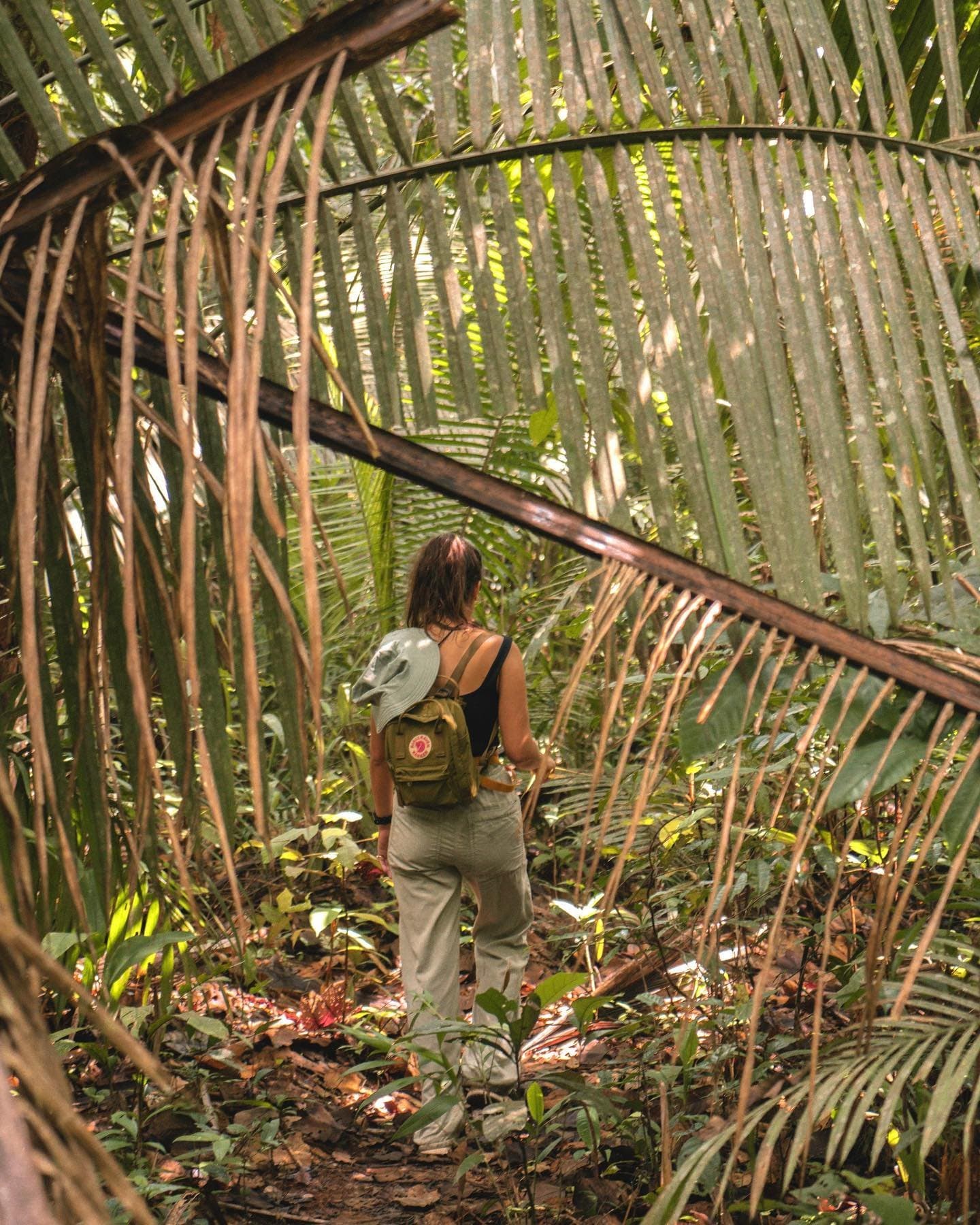 Der Wald zieht dich rein, bevor du merkst, dass du schon mittendrin bist. Eine Frau mit grünem Rucksack und Sonnenhut geht auf einem schmalen Pfad durch dichte Palmwedel auf einer Amazon-Survival-Tour
