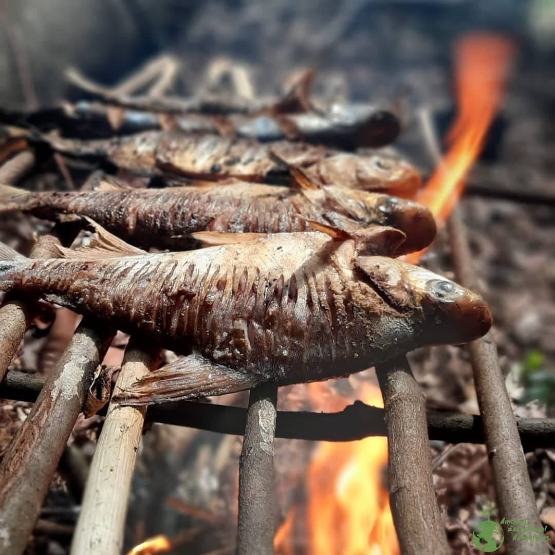 Le déjeuner est réglé, la forêt fait le reste. Plusieurs petits poissons entiers grillant sur des flammes vives posés sur une grille en bois rustique lors d'un trek de survie en Amazonie