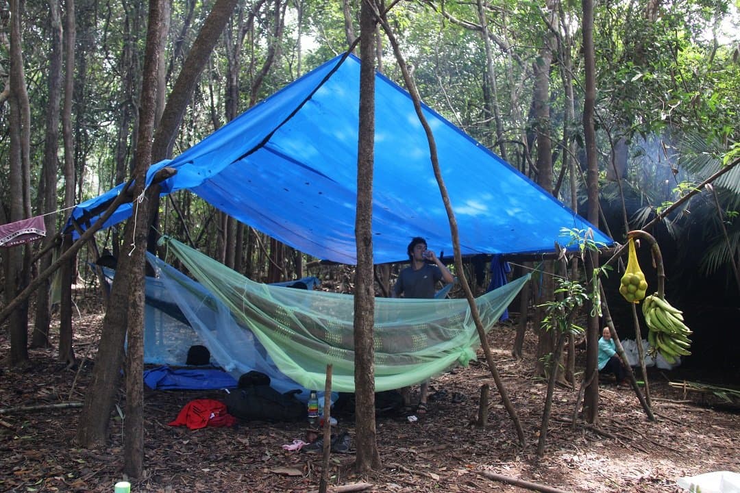 Le confort version jungle: une bâche, un hamac, et un régime de bananes à portée de main. Un abri de bâche bleue tendu entre des arbres forestiers au-dessus d'un hamac sous moustiquaire lors d'un trek de survie en Amazonie, avec un voyageur qui boit au campement et des bananes suspendues à une branche