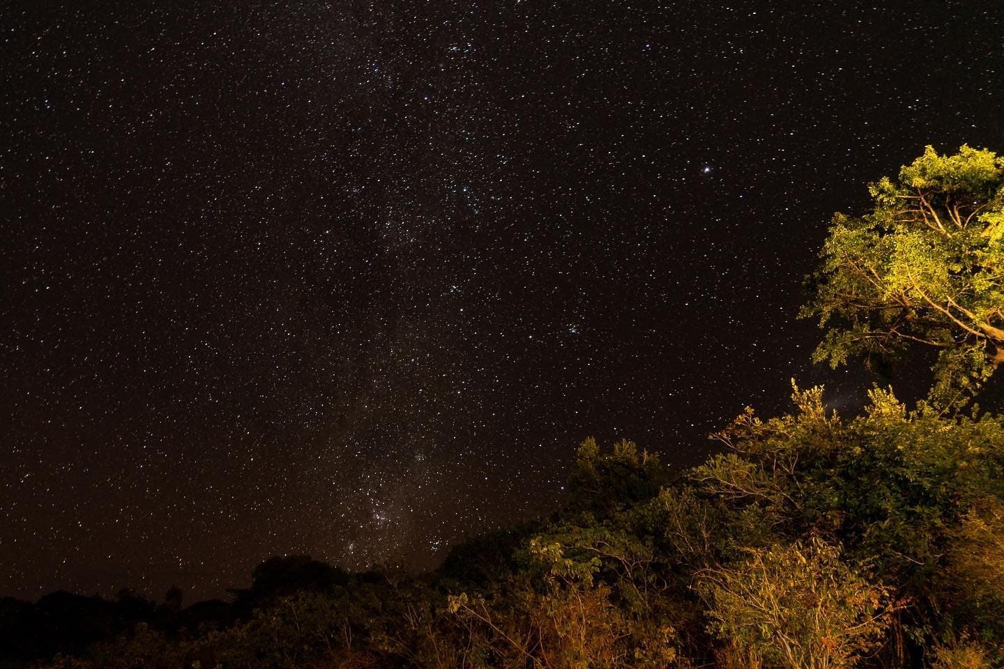 Loin de toute lumière artificielle, le ciel de nuit en Amazonie parle pour lui-même. La Voie lactée s'étendant au-dessus d'une canopée dense éclairée artificiellement lors d'un trek de survie en Amazonie