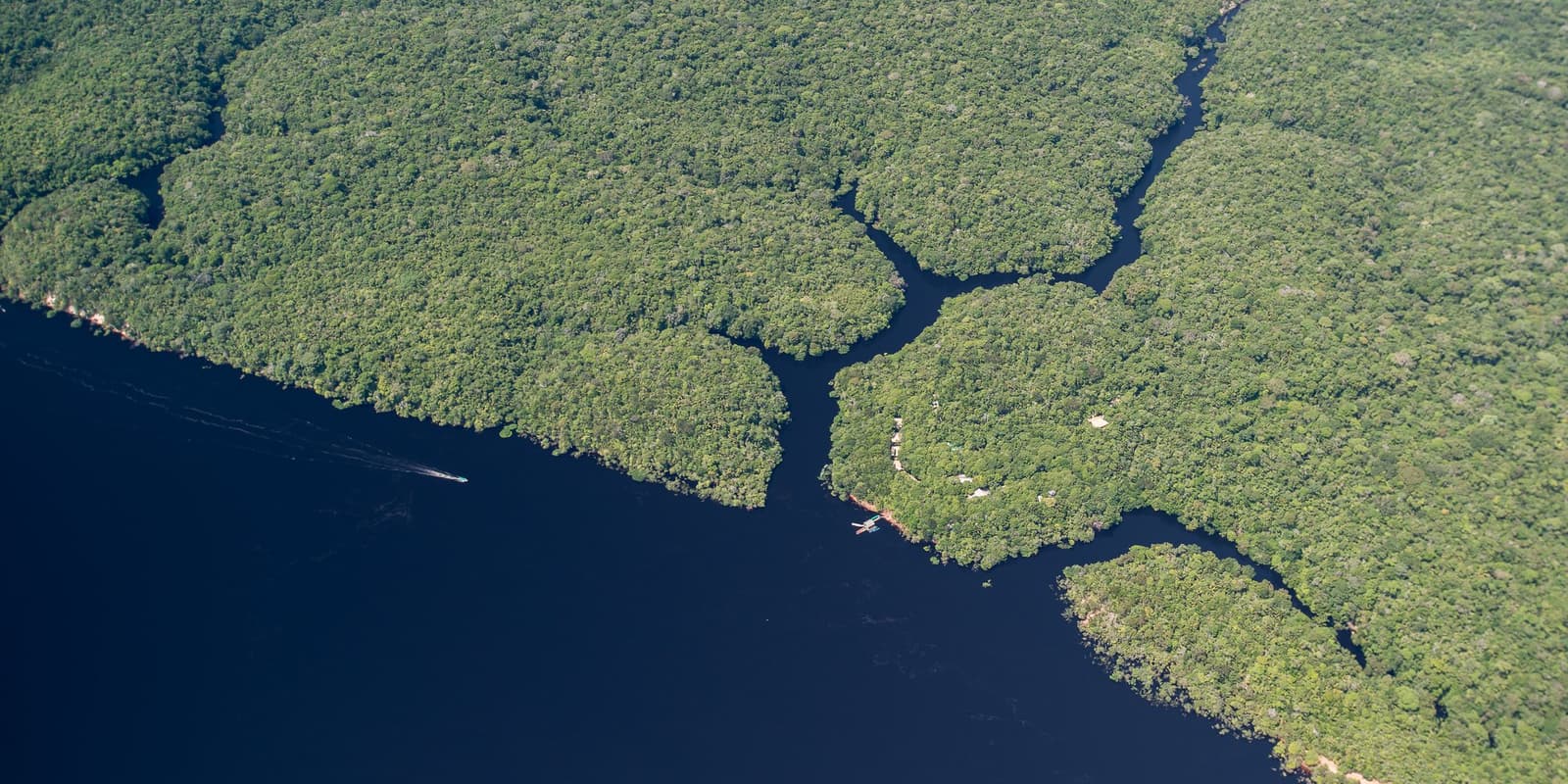Von oben sieht es aus, als würde der Wald den Fluss Kanal für Kanal aufsaugen. Luftaufnahme der Anavilhanas Jungle Lodge Brazil am Ufer des dunklen Rio Negro, umgeben von dichtem Amazonas-Regenwald und schmalen Wasserkanälen zwischen bewaldeten Inseln, ein kleines Boot hinterlässt eine Bugwelle auf dem Fluss