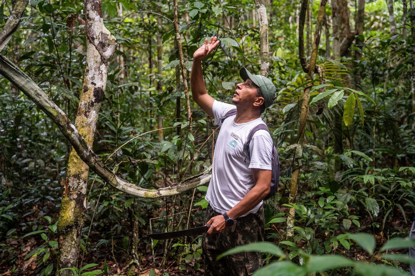 Er hat etwas entdeckt, das die meisten einfach übersehen hätten. Ein einheimischer Führer der Anavilhanas Jungle Lodge Brazil zeigt mit erhobener Hand in das dichte Regenwaldblätterdach, während er auf einem Trockenwaldhike nach Tieren Ausschau hält