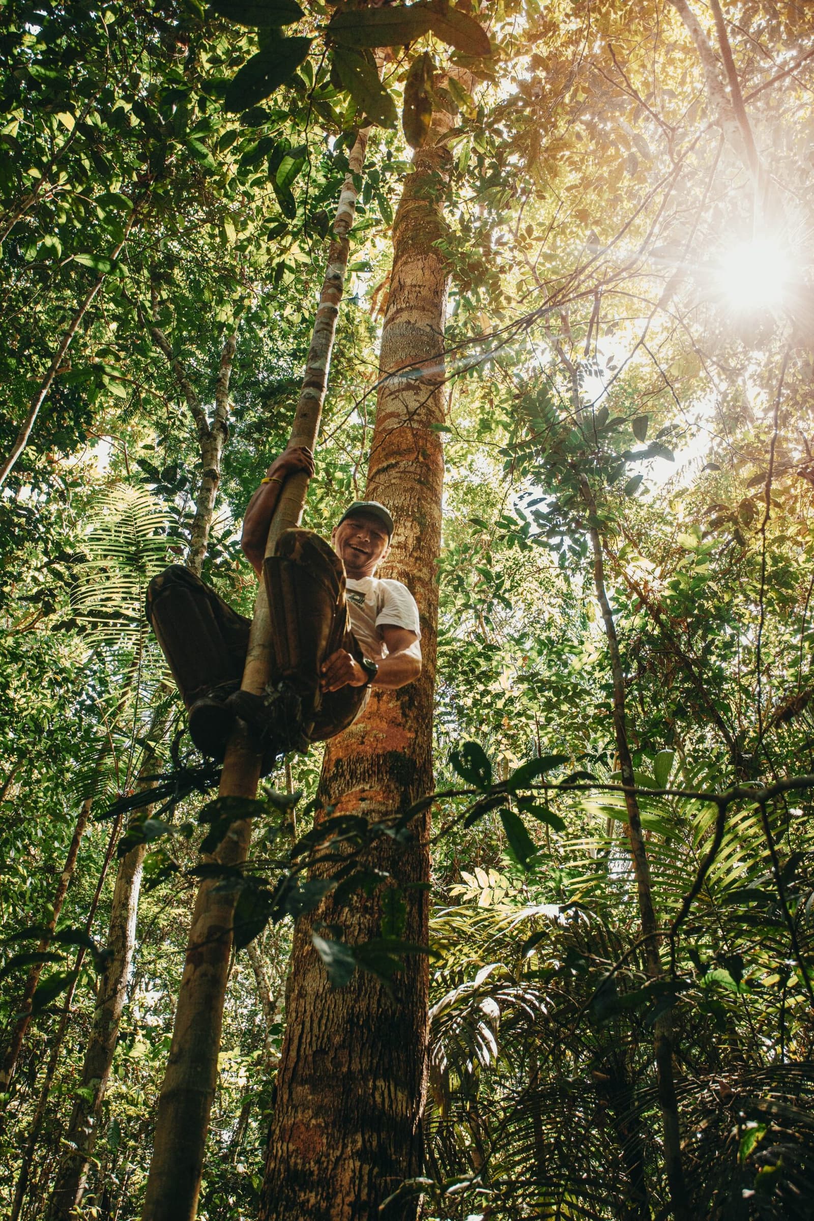 Manche Geheimnisse des Waldes verrät nur der Blick von oben. Ein lächelnder einheimischer Führer klettert barfuß an einem hohen Regenwald-Baum in der Anavilhanas Jungle Lodge Brasilien empor, während Sonnenlicht durch das dichte grüne Blätterdach fällt