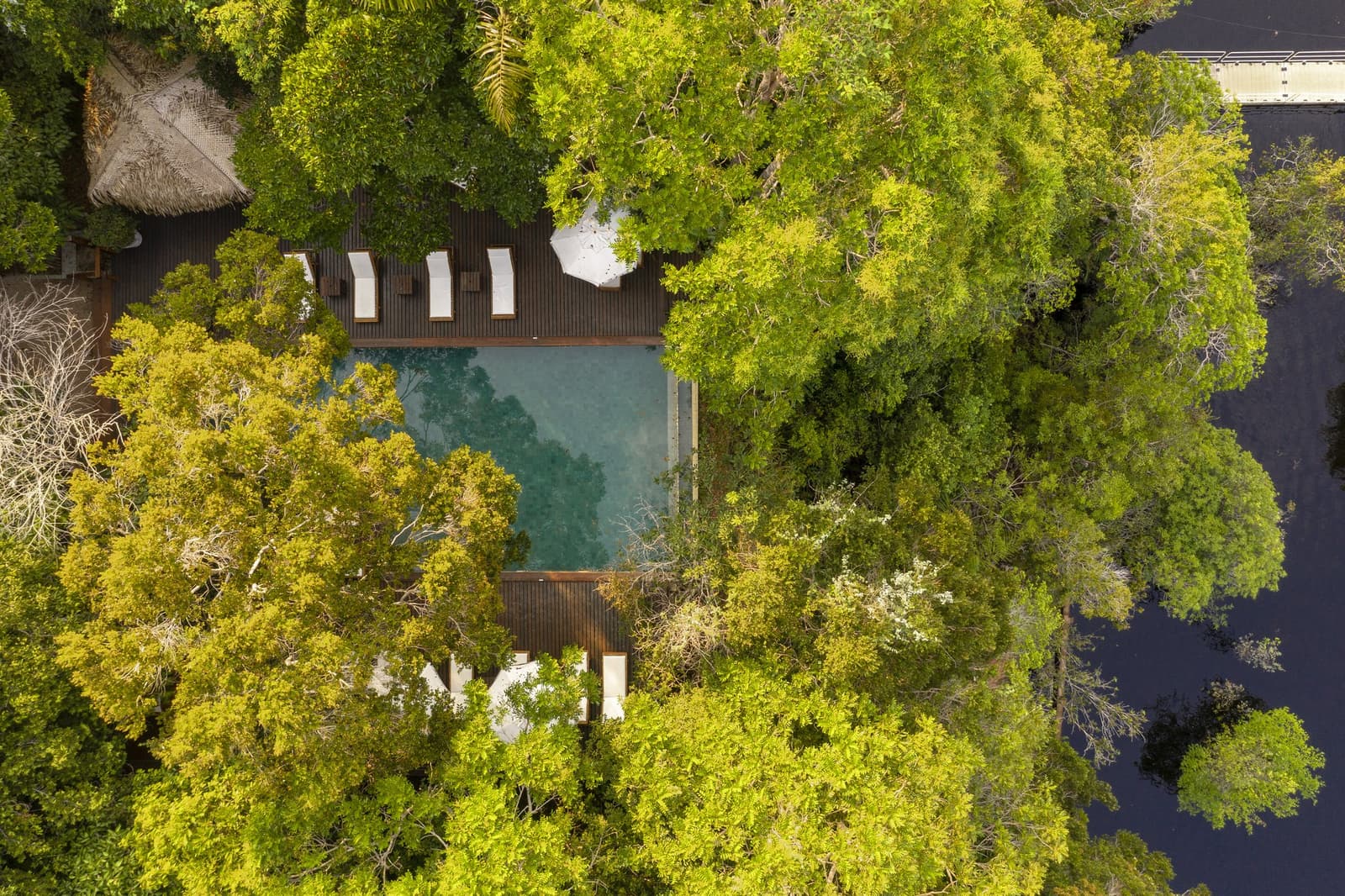 Der Regenwald hat den Pool fast vollständig in Beschlag genommen, und das ist genau richtig so. Luftaufnahme des Anavilhanas Jungle Lodge Brazil mit einem Infinity-Pool auf einem Holzdeck, eingebettet unter dichtem Regenwalddach, mit weißen Sonnenliegen und einem Strohdach-Pavillon neben einem schwarzwassrigen Flusskanal