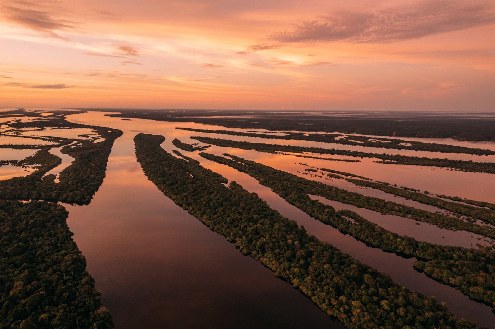 Hier entscheidet der Fluss, wo der Wald aufhört, und das ändert sich jede Saison. Luftaufnahme des Anavilhanas Jungle Lodge Brazil Gebiets bei Sonnenaufgang, mit hunderten bewaldeter Flussinseln in spiegelstillem Wasser unter einem leuchtend orangefarbenen Himmel