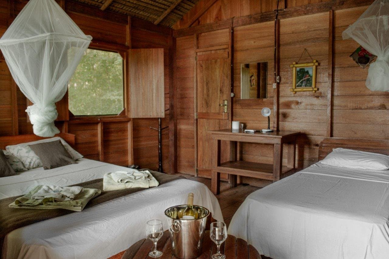 Eisgekühlter Wein, Moskitonetze, ruhiges Holzambiente — Erholung mitten im Regenwald. Doppelzimmer in einer Dschungellodge mit weißen Moskitonetzen, warmen Holzwänden und einer gekühlten Weinflasche im Eiskübel auf einem Holztisch