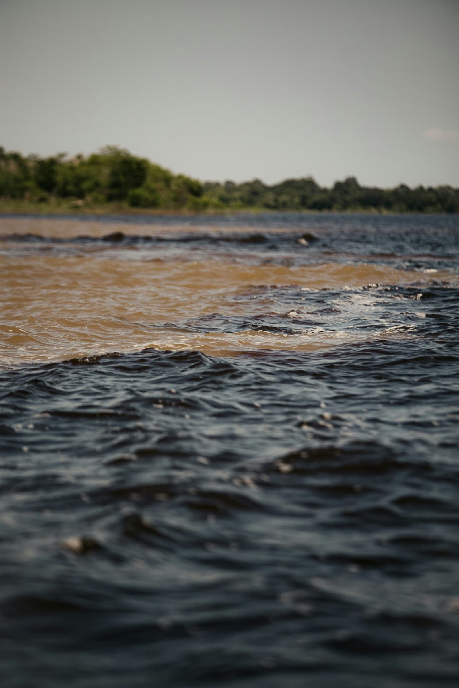 Zwei Flüsse, zwei Farben, keine Grenzlinie. Zwei Flüsse mit auffällig unterschiedlichen Farben — dunkles Schwarzwasser und sandiges Braun — fließen nebeneinander, ohne sich zu vermischen, ein Naturwunder des brasilianischen Amazonas-Dschungel-Tours