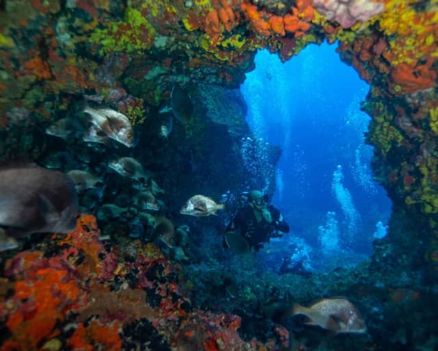 10 curiosità su Fernando de Noronha, dalla spiaggia più bella del mondo ai relitti 10 curiosità su Fernando de Noronha, dalla spiaggia più bella del mondo ai relitti