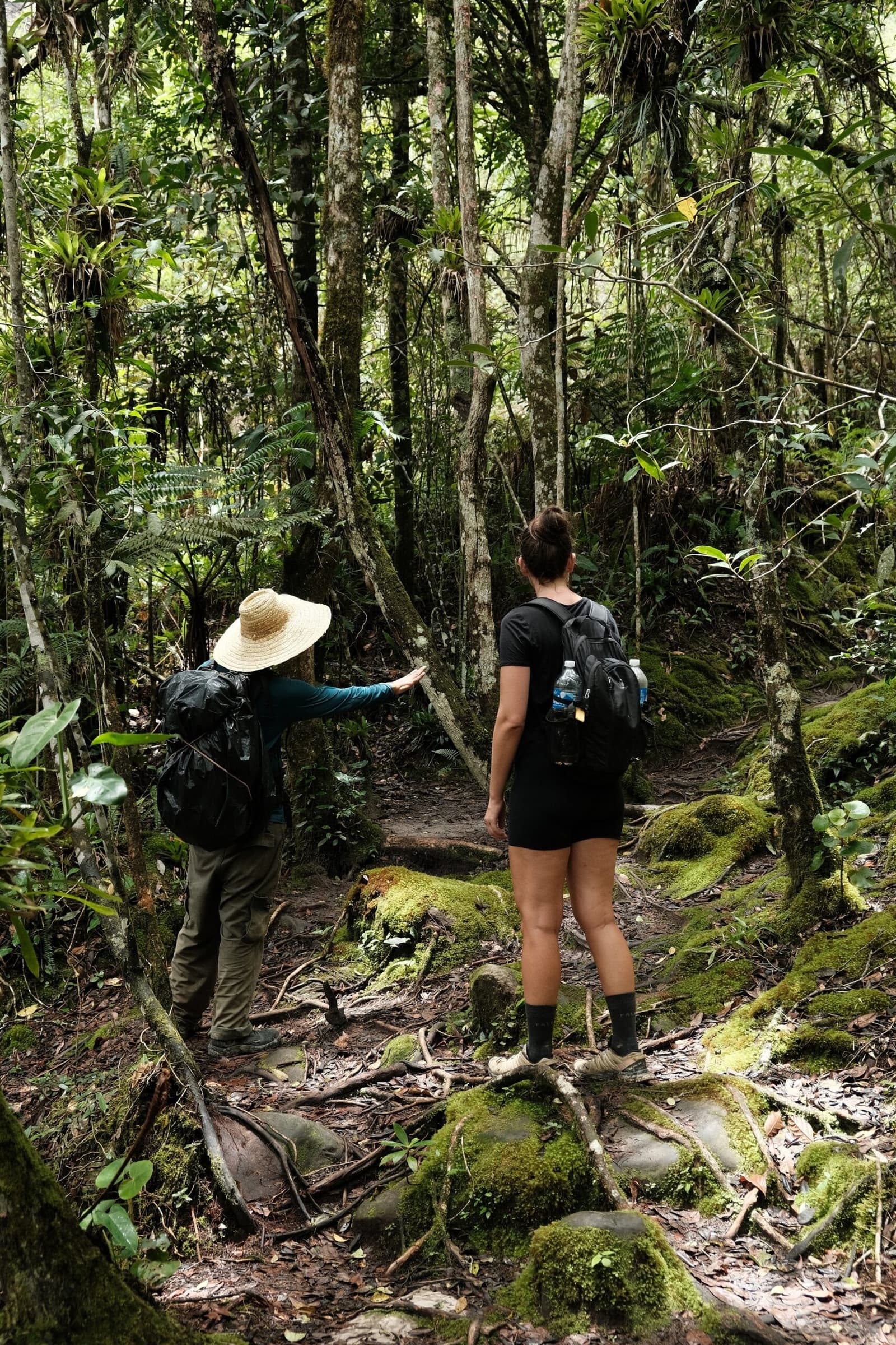 Com um bom guia, até a raiz no chão tem história pra contar. Um guia de chapéu de palha aponta o caminho em uma trilha coberta de musgo durante uma caminhada na Chapada Diamantina, enquanto uma viajante com mochila observa a densa floresta à frente