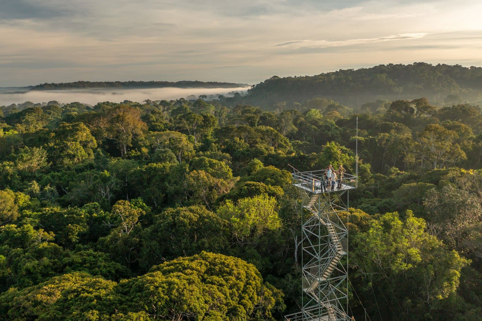 Ein bisschen höher, und man versteht, warum der Amazonas einen nicht mehr loslässt. Besucher stehen auf einem hohen Metallaussichtsturm über dem Amazonas-Regenwalddach im Cristalino Jungle Lodge, während morgendlicher Nebel zwischen bewaldeten Hügeln im Hintergrund treibt