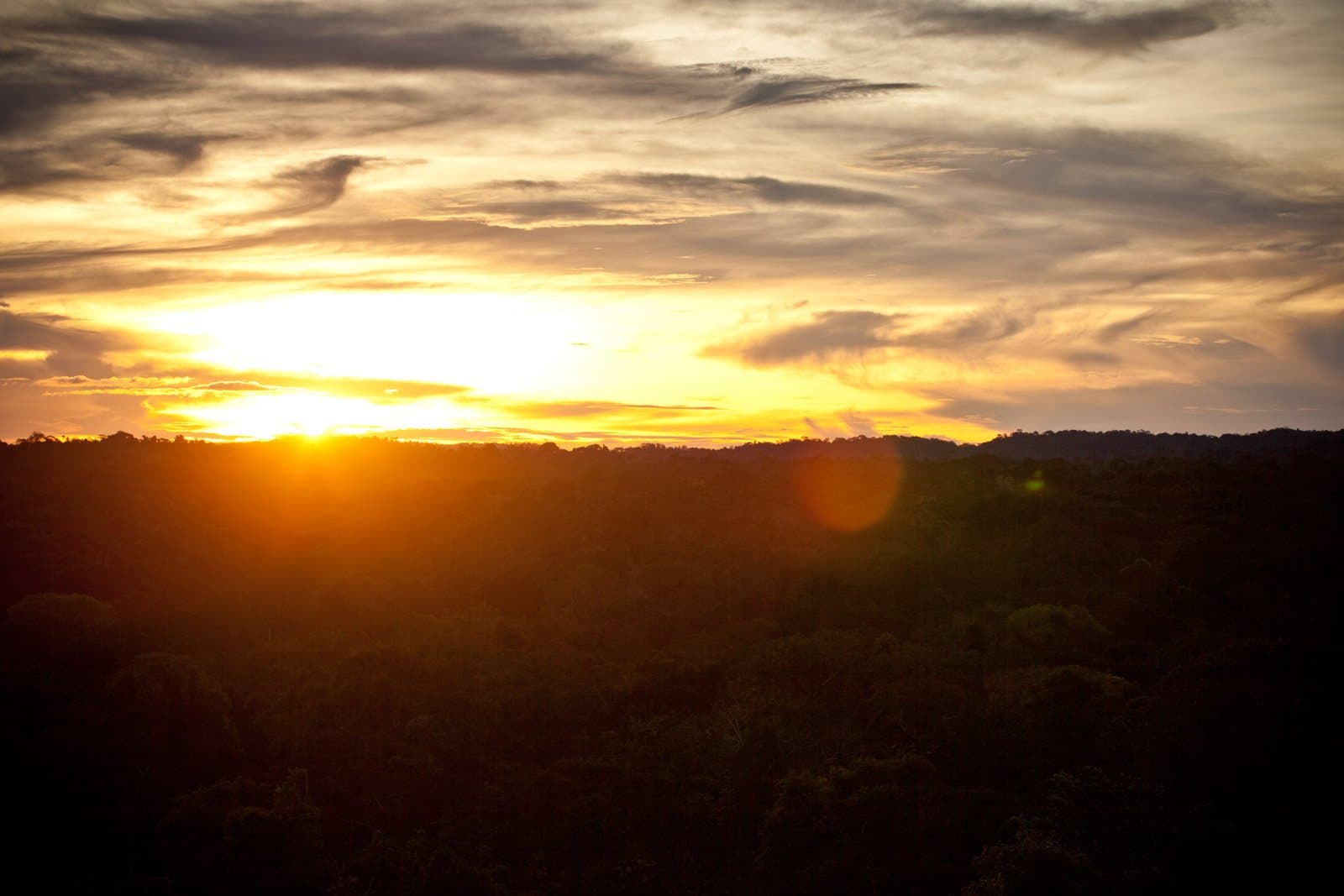 Dieses letzte Licht über dem Blätterdach gehört ganz dem Dschungel. Ein goldener Sonnenuntergang leuchtet über dem lückenlosen Regenwalddach des Cristalino Jungle Lodge, während dramatische Wolken den weiten Himmel durchziehen