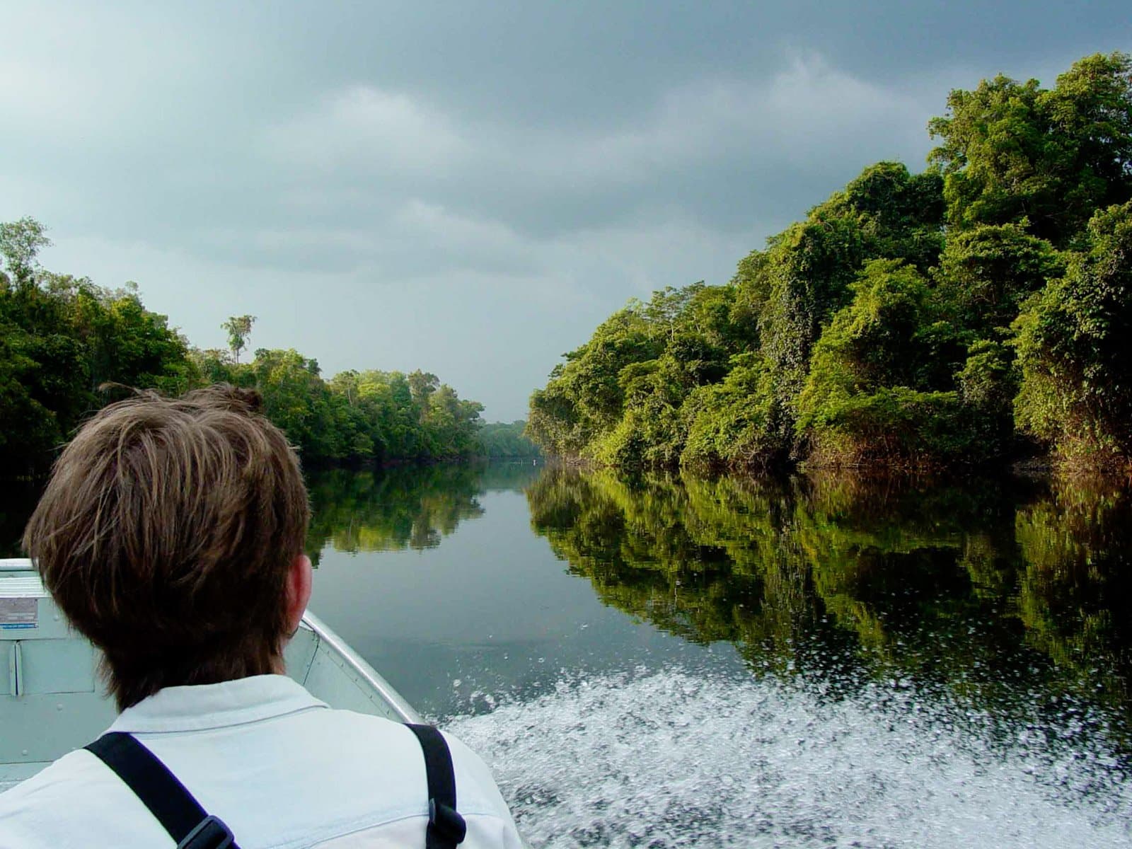 Vor einem liegt der Fluss, hinter einem das Schaumwasser, der Urwald entscheidet das Tempo. Ein Passagier blickt von einem Motorboot voraus, das auf einem spiegelglatten Dschungelfluss entlanggleitet, gesäumt von dichtem Regenwalddach am Cristalino Jungle Lodge