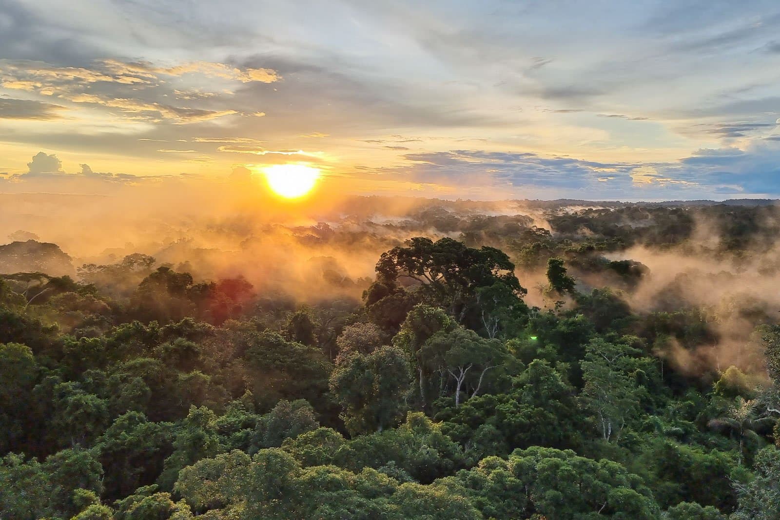 Der Wald erwacht, noch bevor der Tag es tut. Goldener Sonnenaufgang über einem nebligen Regenwalddach beim Cristalino Jungle Lodge, mit Morgennebel zwischen den Baumkronen unter dramatischem Himmel