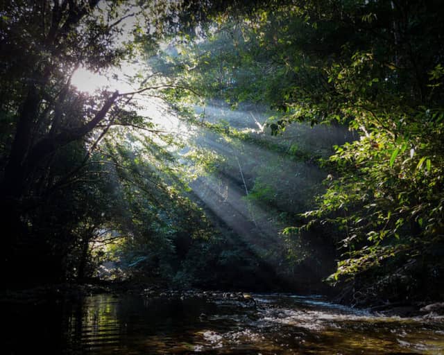 Amazzonia in Brasile: cosa vedere e i posti più belli Amazzonia in Brasile: cosa vedere e i posti più belli