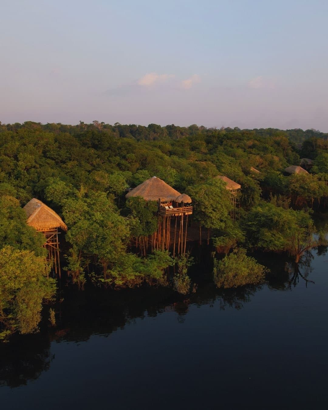 Schlafen im Baumwipfel, der Fluss direkt darunter. So nah an der Natur geht kaum. Luftaufnahme der Juma Amazon Jungle Lodge mit strohgedeckten Bungalows auf Holzstelzen über dem Regenwalddach neben einem spiegelglatten dunklen Fluss im goldenen Abendlicht