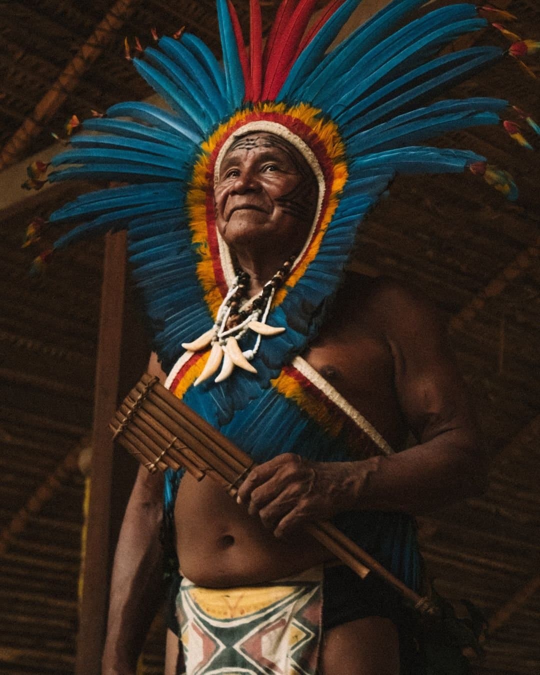 Jede Feder erzählt eine Geschichte, die kein Buch fassen kann. Ein indigener Ältester mit einem leuchtend blau-roten Federkopfschmuck und Knochen-Samen-Kette spielt in einer Reetdachhütte eine Bambus-Panflöte — ein unvergesslicher Kulturmoment auf einer Reise zur Juma Amazon Jungle Lodge