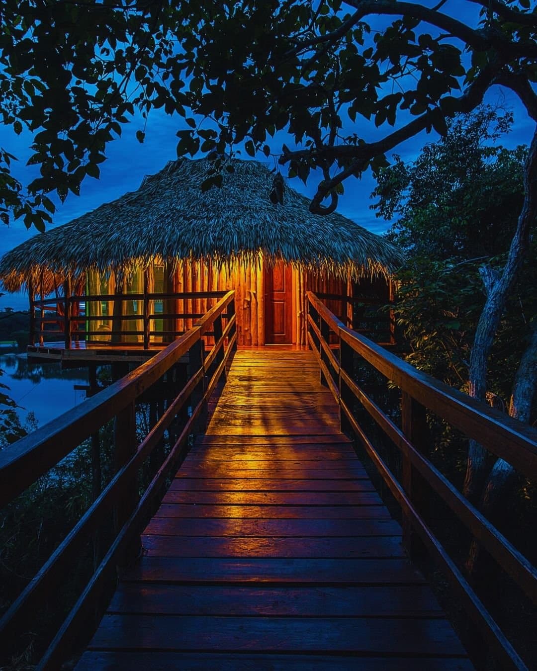 Das Zimmer ist bereit, und der Dschungel übernimmt die Beleuchtung. Ein Holzsteg führt durch das Blätterdach des Dschungels zu einem warm beleuchteten Strohdach-Bungalow der Juma Amazon Jungle Lodge, der bernsteinfarben gegen den tiefblauen Abendhimmel leuchtet