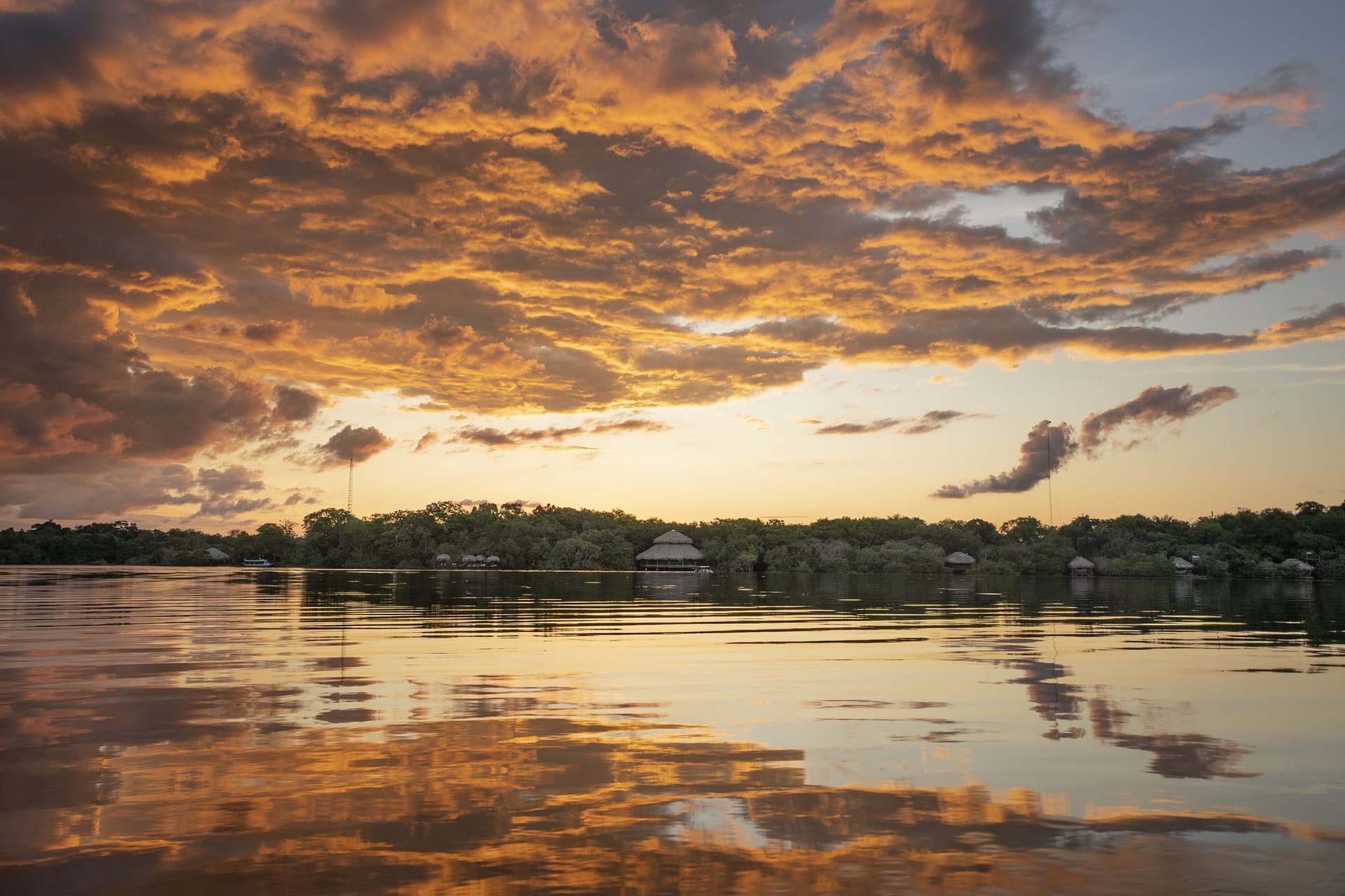Juma Amazon Lodge: 5-Tage-Dschungeltour ab Manaus Juma Amazon Lodge: 5-Tage-Dschungeltour ab Manaus