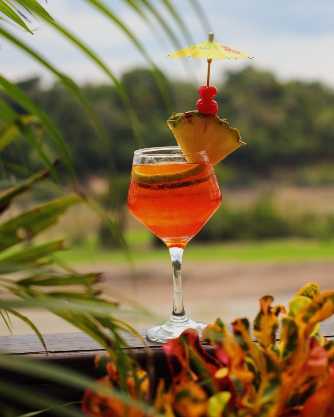 Erst der Drink, dann der Dschungel, in dieser Reihenfolge. Tropischer orangefarbener Cocktail mit Ananas, Kirschen und Papierschirmchen in der Juma Amazon Jungle Lodge, umgeben von verschwommenem Grün